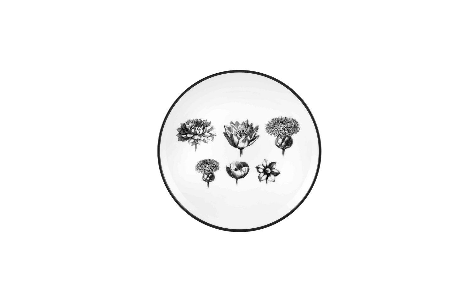 Herbarie Bread and Butter Plates, Set of 4