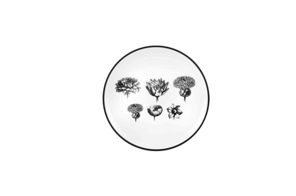 Herbarie Bread and Butter Plates, Set of 4