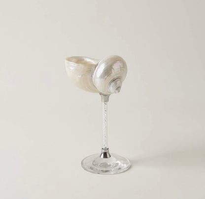 Seashell Glasses, Set of 4 Assorted