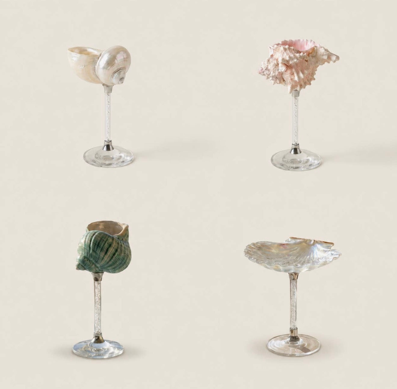 Seashell Glasses, Set of 4 Assorted