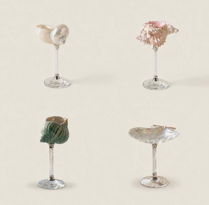 Seashell Glasses, Set of 4 Assorted