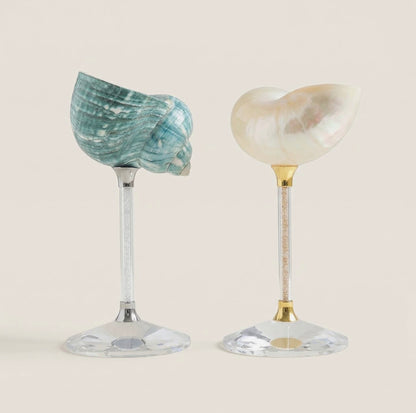 Seashell Glasses, Set of 4 Assorted